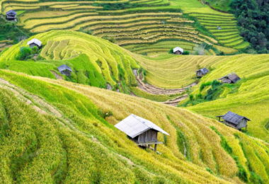 Sapa - Trekking - Homestay - Market (10)