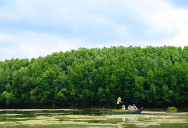 Can Gio Mangrove Forest