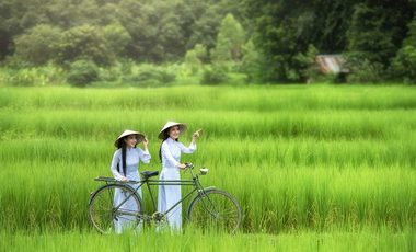 North Vietnam Package Tours