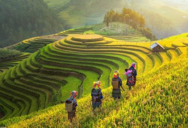 Mu Cang Chai
