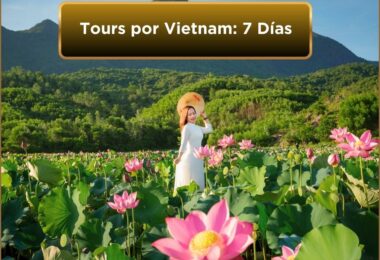 Tours por Vietnam: 7 Días