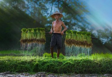 Vietnam tour 10 days