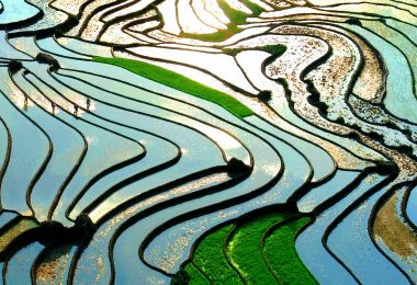 Rice Teraces in Sapa Lao Cai
