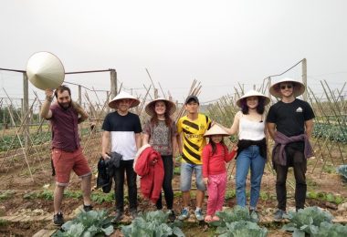 Hanoi - Vegetable village
