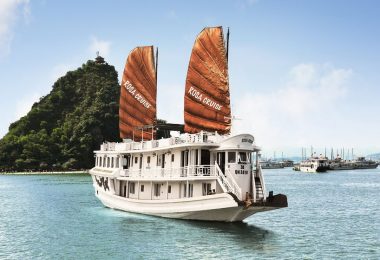 Rosa Cruise Overview