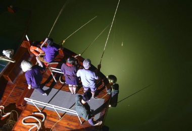 Squid fishing Phoenix cruise