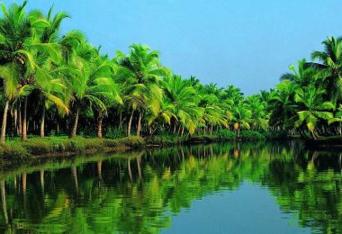 Ben Tre Mekong Coco-Nut