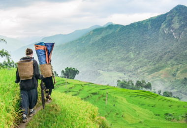 Sapa Trekking
