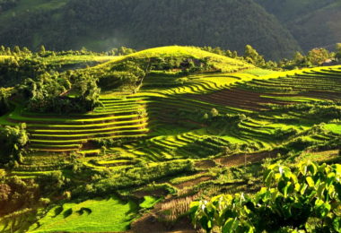 Sapa Rice Terraces