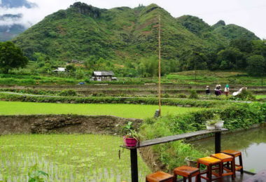 Ha Giang Homestay View
