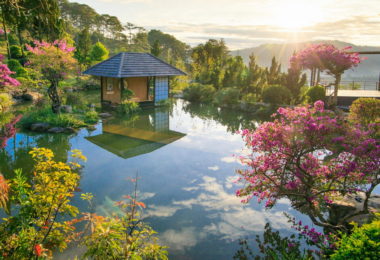 Que garden in Da Lat